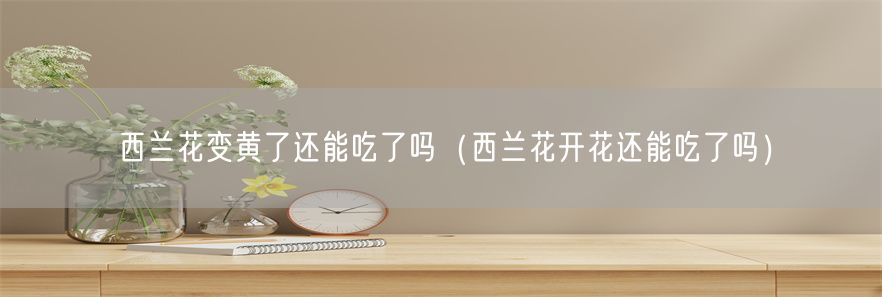 西兰花变黄了还能吃了吗（西兰花开花还能吃了吗）(1)