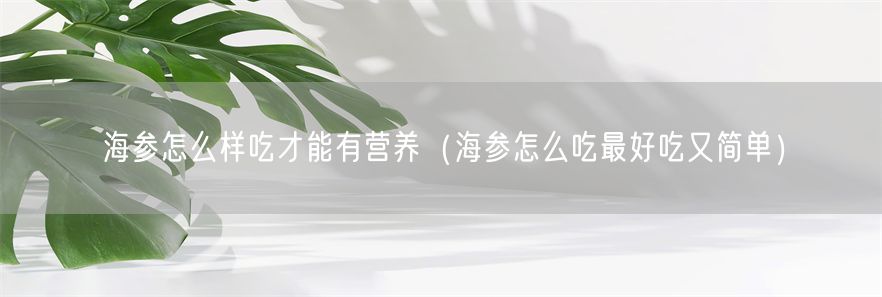 海参怎么样吃才能有营养（海参怎么吃最好吃又简单）(1)