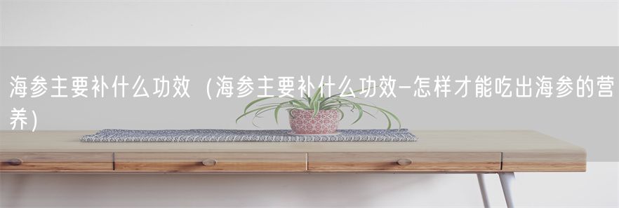 海参主要补什么功效（海参主要补什么功效-怎样才能吃出海参的营养）(1)