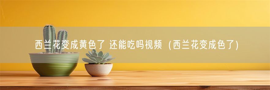 西兰花变成黄色了 还能吃吗视频（西兰花变成色了）(1)