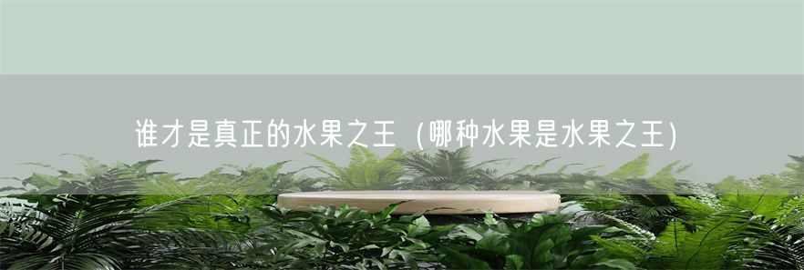 谁才是真正的水果之王(哪种水果是水果之王)