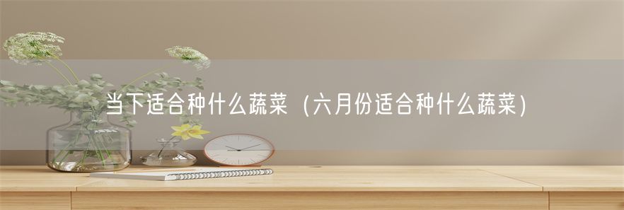 当下适合种什么蔬菜（六月份适合种什么蔬菜）(1)