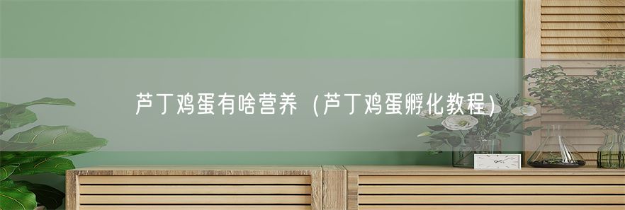 芦丁鸡蛋有啥营养（芦丁鸡蛋孵化教程）