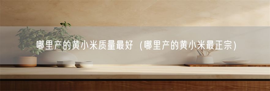 哪里产的黄小米质量最好（哪里产的黄小米最正宗）(1)