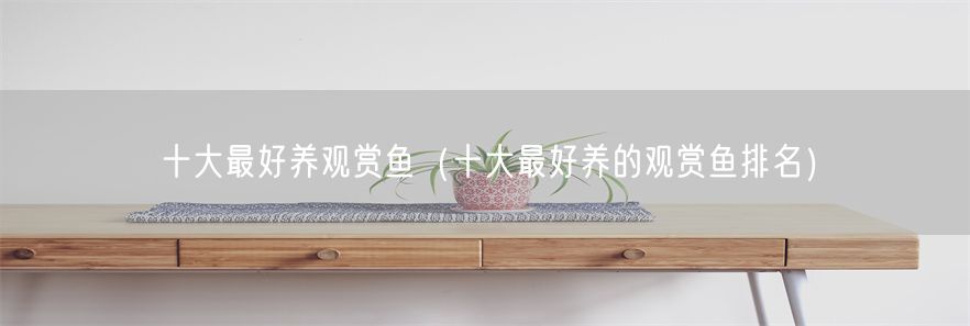 十大最好养观赏鱼（十大最好养的观赏鱼排名）(1)