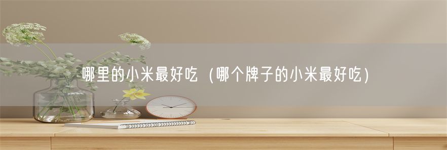 哪里的小米最好吃（哪个牌子的小米最好吃）(1)