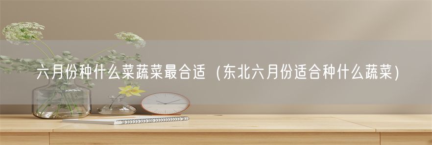 六月份种什么菜蔬菜最合适（东北六月份适合种什么蔬菜）(1)