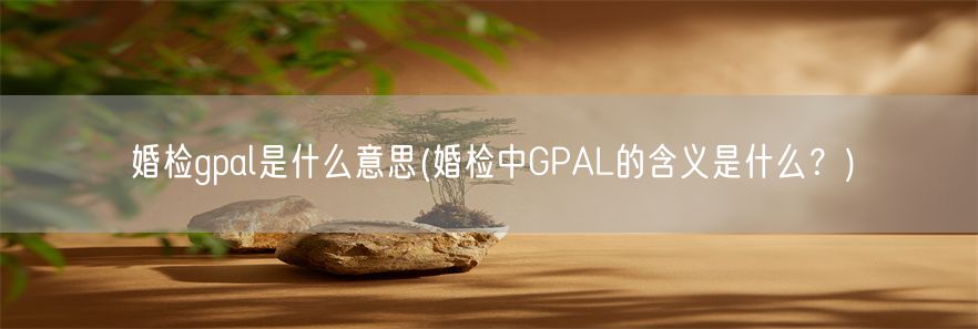 婚检gpal是什么意思(婚检中GPAL的含义是什么？)