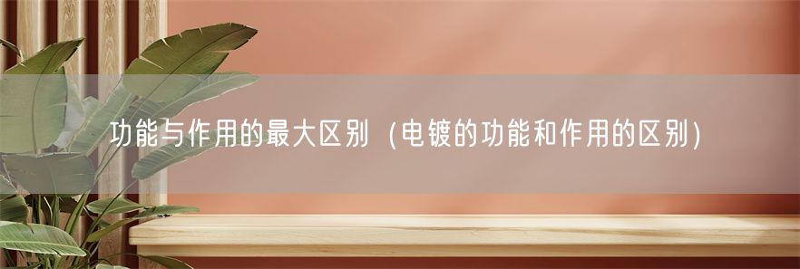 功能与作用的最大区别（电镀的功能和作用的区别）(1)