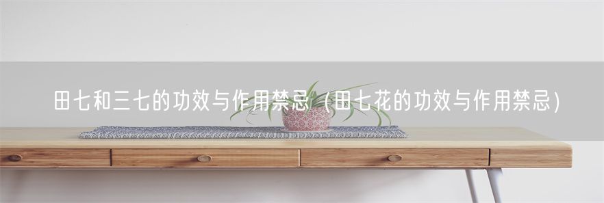 田七和三七的功效与作用禁忌（田七花的功效与作用禁忌）(1)