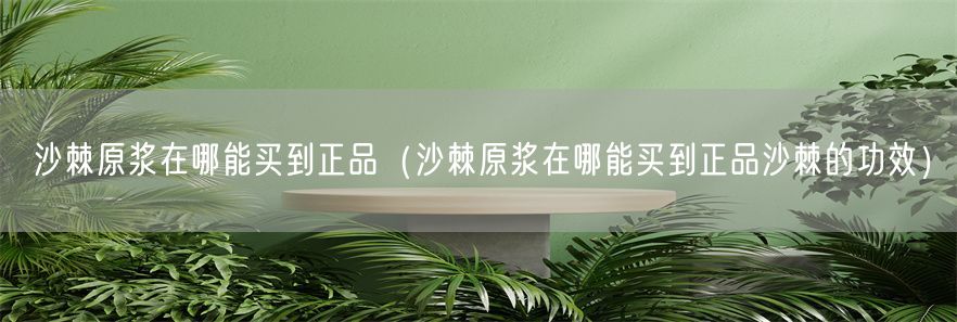 沙棘原浆在哪能买到正品（沙棘原浆在哪能买到正品沙棘的功效）(1)