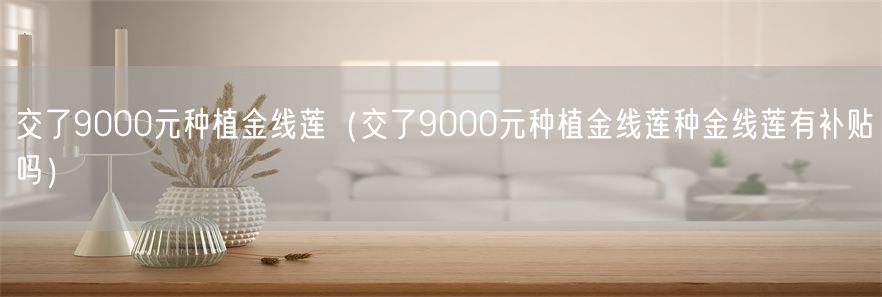 交了9000元种植金线莲（交了9000元种植金线莲种金线莲有补贴吗）(1)
