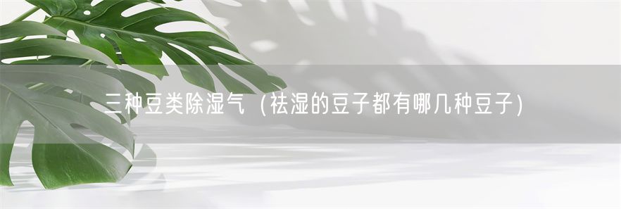 三种豆类除湿气（祛湿的豆子都有哪几种豆子）(1)