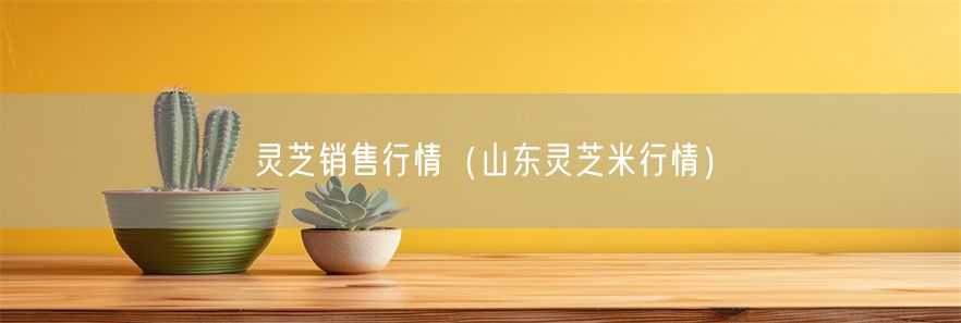 灵芝销售行情（山东灵芝米行情）(1)