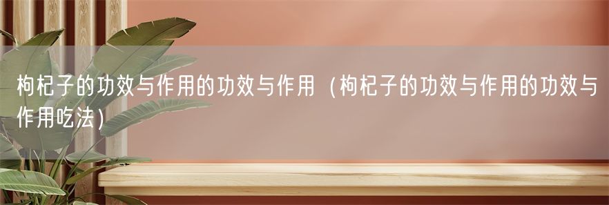 枸杞子的功效与作用的功效与作用（枸杞子的功效与作用的功效与作用吃法）(1)