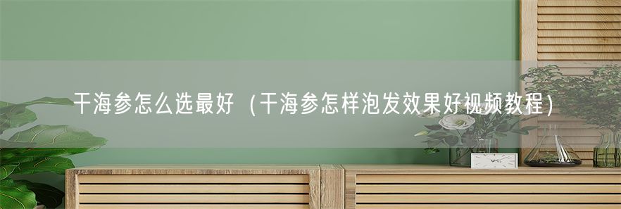 干海参怎么选最好（干海参怎样泡发效果好视频教程）(1)