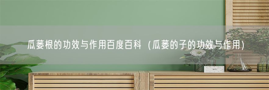瓜蒌根的功效与作用百度百科（瓜蒌的子的功效与作用）(1)