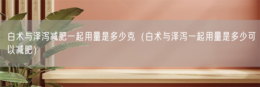 白术与泽泻减肥一起用量是多少克（白术与泽泻一起用量是多少可以减肥）(1)