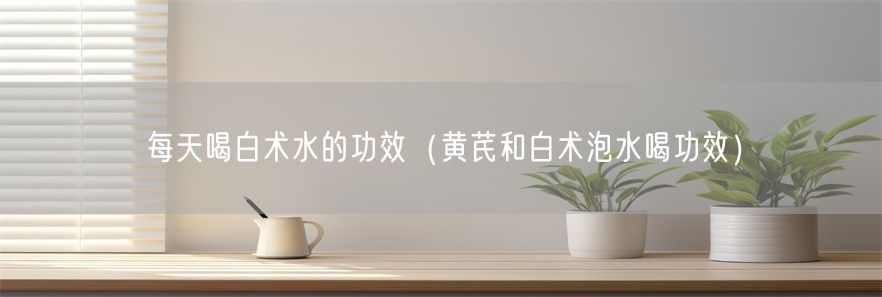 每天喝白术水的功效（黄芪和白术泡水喝功效）(1)