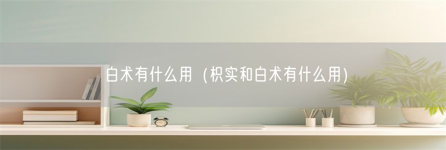 白术有什么用（枳实和白术有什么用）(1)