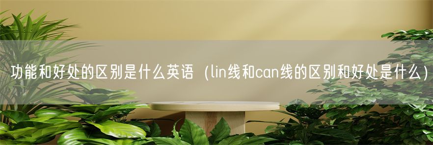 功能和好处的区别是什么英语（lin线和can线的区别和好处是什么）(1)