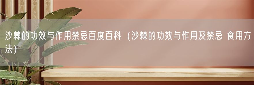 沙棘的功效与作用禁忌百度百科（沙棘的功效与作用及禁忌 食用方法）(1)