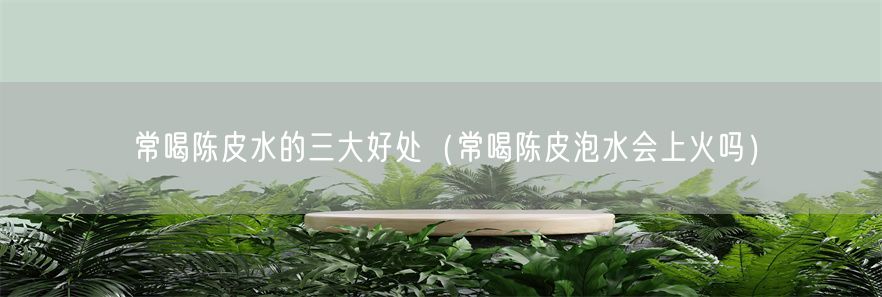 常喝陈皮水的三大好处（常喝陈皮泡水会上火吗）(1)