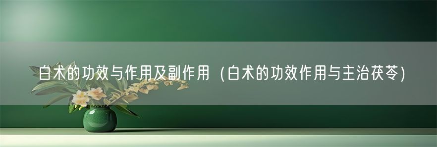 白术的功效与作用及副作用（白术的功效作用与主治茯苓）(1)