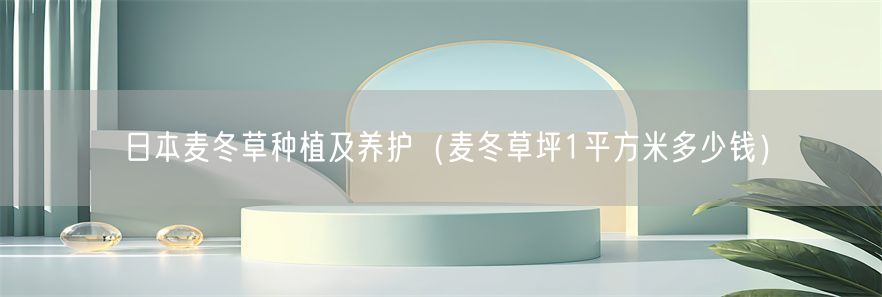 日本麦冬草种植及养护（麦冬草坪1平方米多少钱）(1)