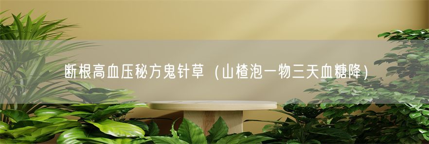 断根高血压秘方鬼针草（山楂泡一物三天血糖降）(1)