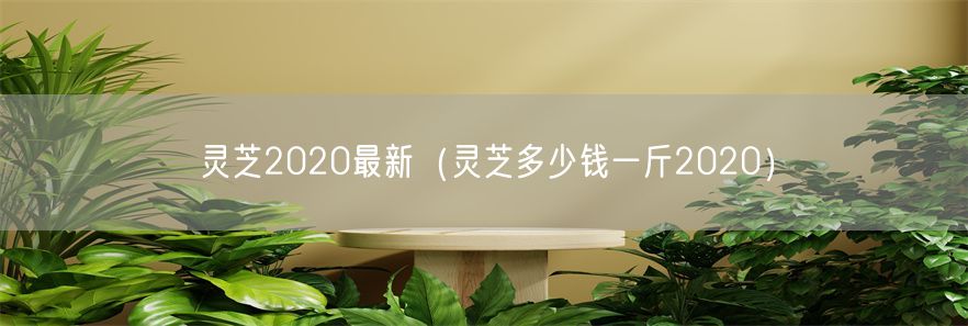灵芝2020最新（灵芝多少钱一斤2020）(1)