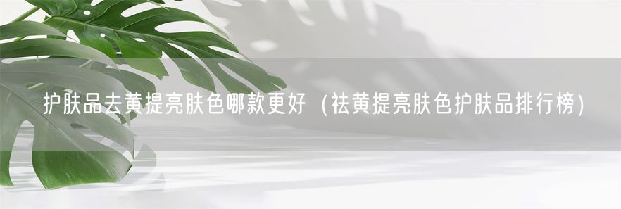 护肤品去黄提亮肤色哪款更好（祛黄提亮肤色护肤品排行榜）(1)