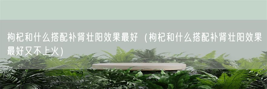 枸杞和什么搭配补肾壮阳效果最好（枸杞和什么搭配补肾壮阳效果最好又不上火）(1)