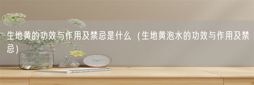 生地黄的功效与作用及禁忌是什么（生地黄泡水的功效与作用及禁忌）(1)