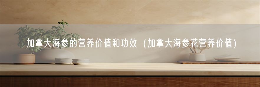 加拿大海参的营养价值和功效（加拿大海参花营养价值）(1)