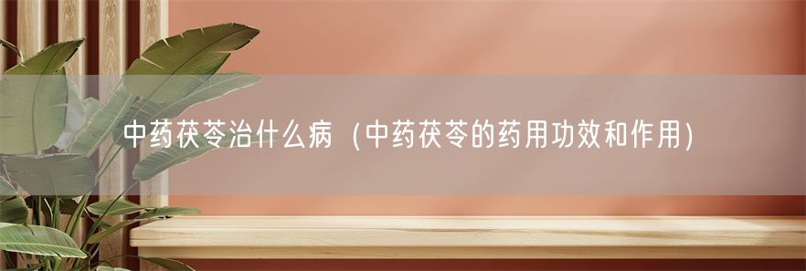 中药茯苓治什么病（中药茯苓的药用功效和作用）(1)
