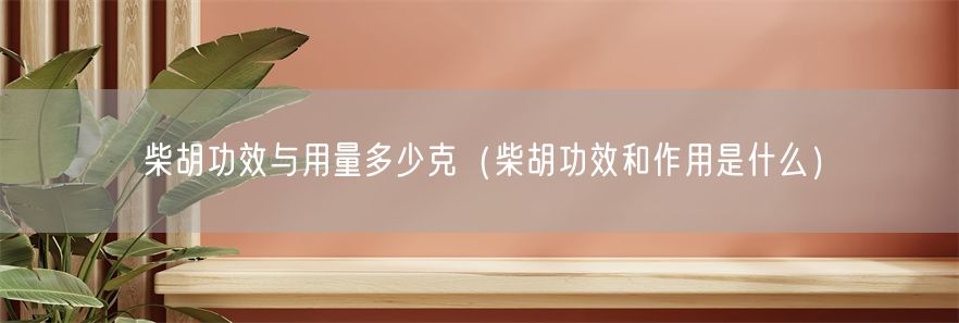 柴胡功效与用量多少克（柴胡功效和作用是什么）(1)