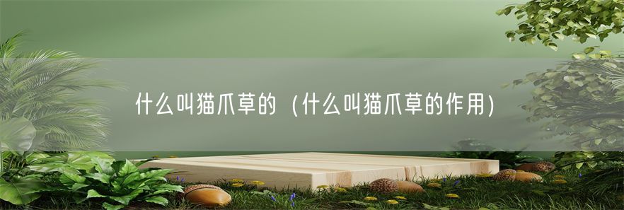 什么叫猫爪草的（什么叫猫爪草的作用）(1)