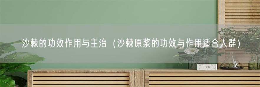 沙棘的功效作用与主治（沙棘原浆的功效与作用适合人群）(1)