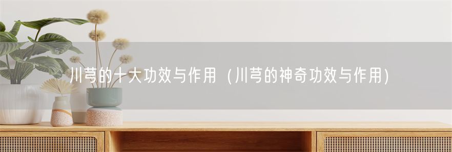 川芎的十大功效与作用（川芎的神奇功效与作用）(1)