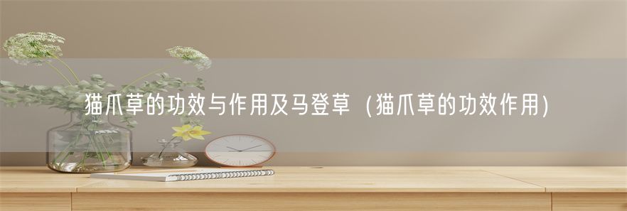 猫爪草的功效与作用及马登草（猫爪草的功效作用）(1)
