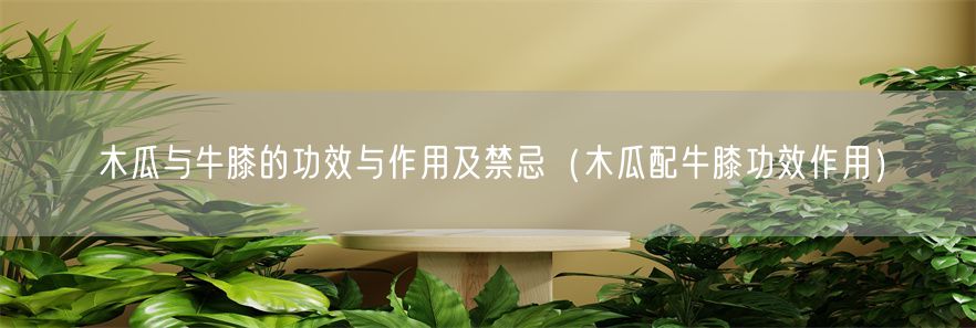 木瓜与牛膝的功效与作用及禁忌（木瓜配牛膝功效作用）(1)
