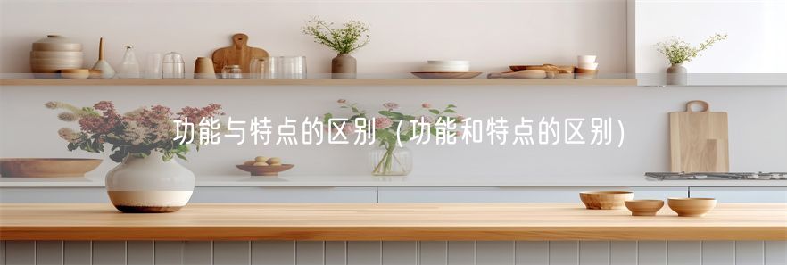 功能与特点的区别（功能和特点的区别）(1)