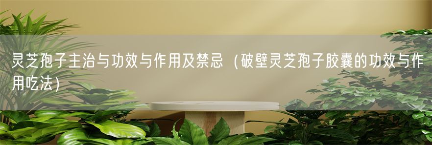 灵芝孢子主治与功效与作用及禁忌（破壁灵芝孢子胶囊的功效与作用吃法）(1)