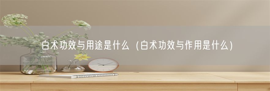 白术功效与用途是什么（白术功效与作用是什么）(1)