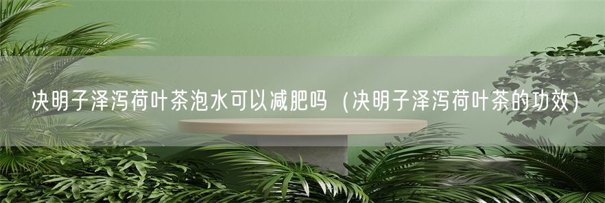 决明子泽泻荷叶茶泡水可以减肥吗（决明子泽泻荷叶茶的功效）(1)