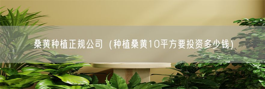 桑黄种植正规公司（种植桑黄10平方要投资多少钱）(1)