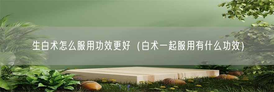 生白术怎么服用功效更好（白术一起服用有什么功效）(1)